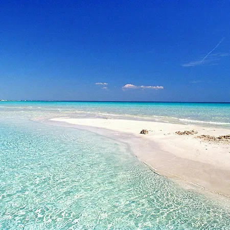 Casa Mario 2d A 180 Mt Dal Mare Di Lejlighed Punta Prosciutto