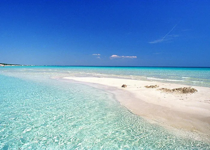 Casa Mario 2d A 180 Mt Dal Mare Di Lejlighed Punta Prosciutto